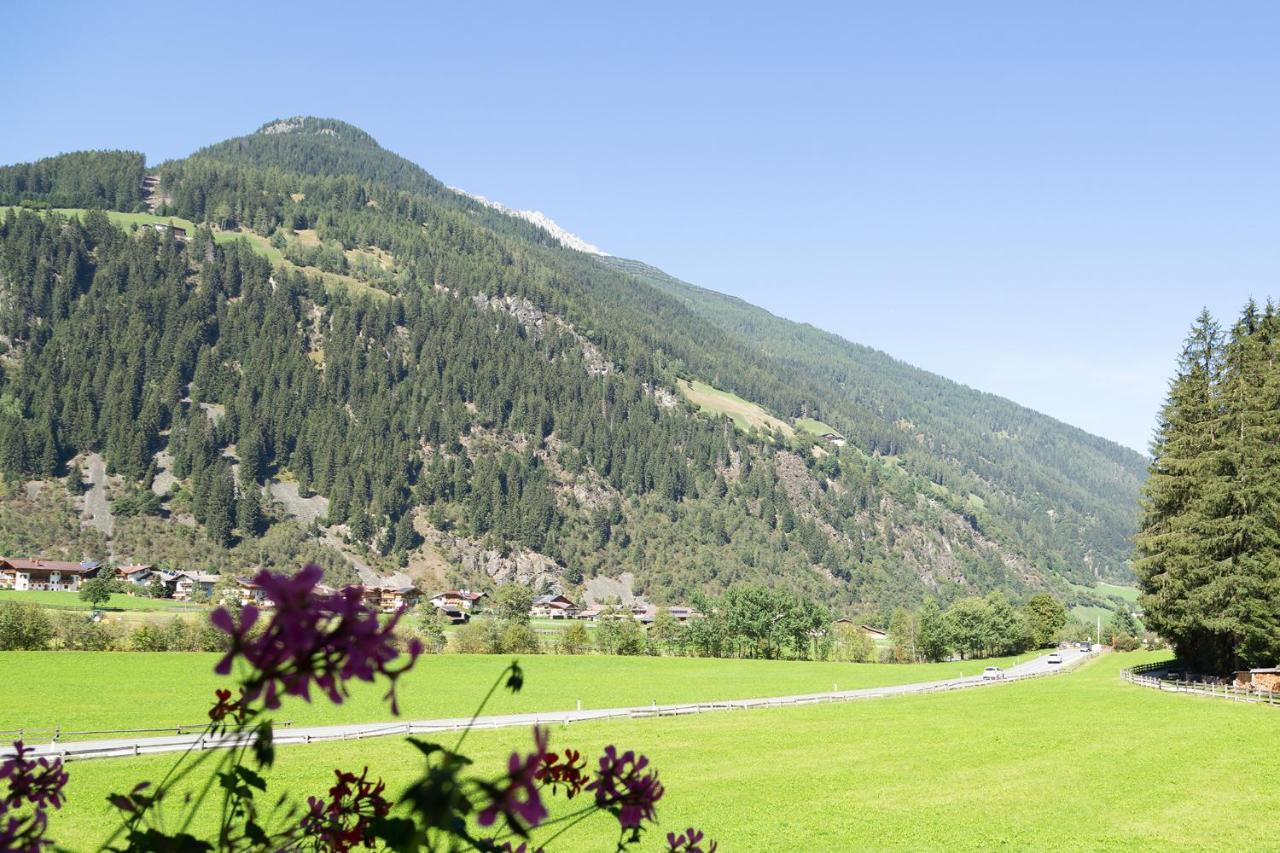 Pension Peter Neustift im Stubaital Ngoại thất bức ảnh