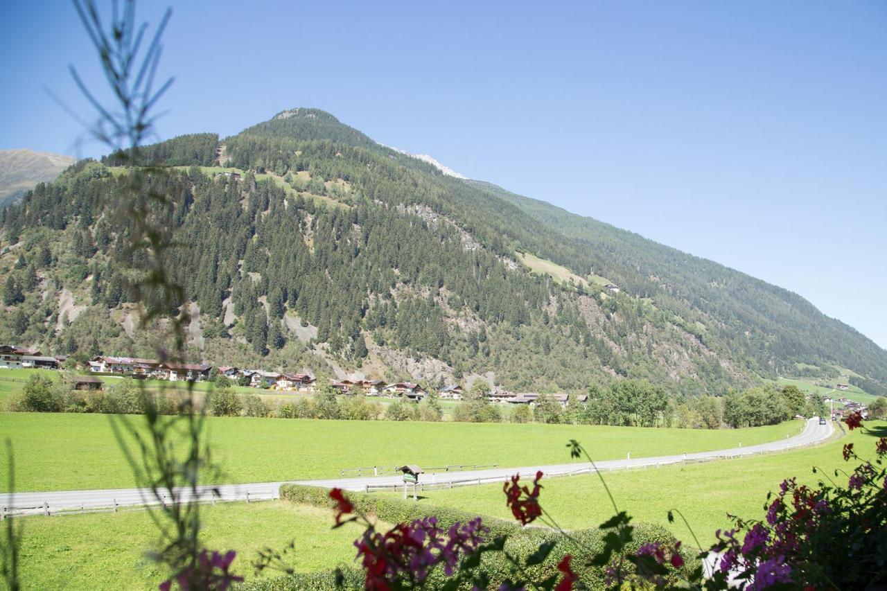 Pension Peter Neustift im Stubaital Ngoại thất bức ảnh